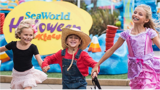 SeaWorld San Diego Halloween Guide