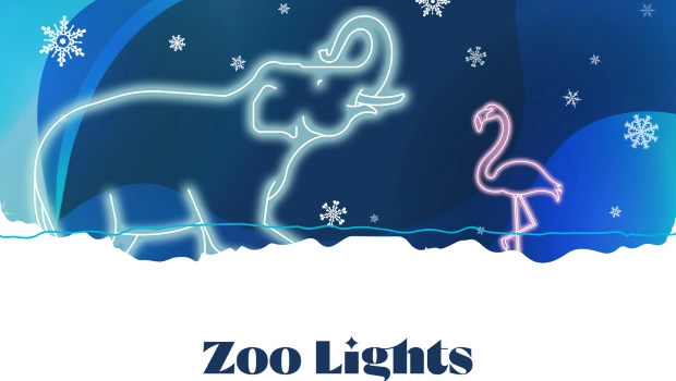 Denver Zoo Holiday Guide