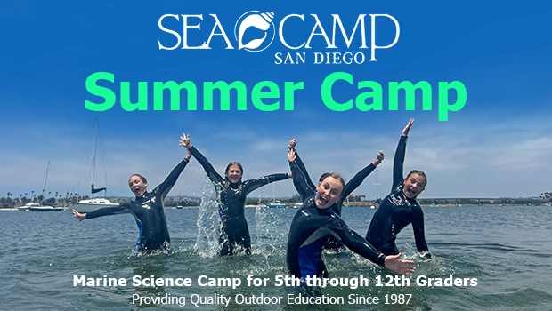 SEACAMP San Diego Fun Activities