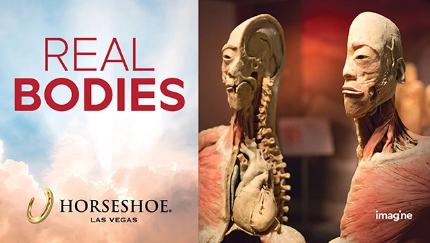 REAL BODIES at Horseshoe Las Vegas
