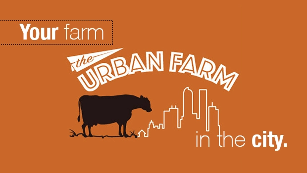 The Urban Farm Summer Camps