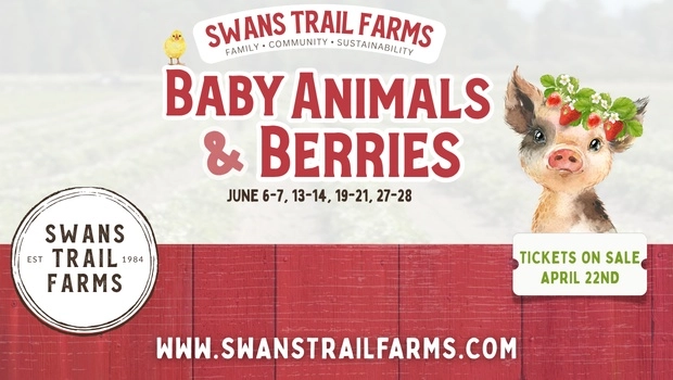 Swans Trail Farms