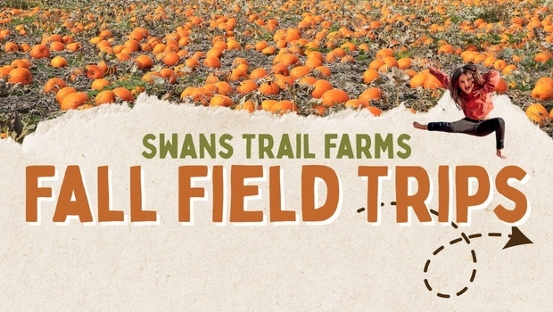Swans Trail Farms Education