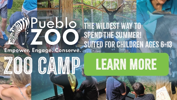 Pueblo Zoo Summer Camps