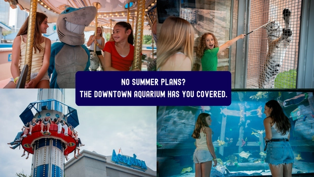 Houston Downtown Aquarium
