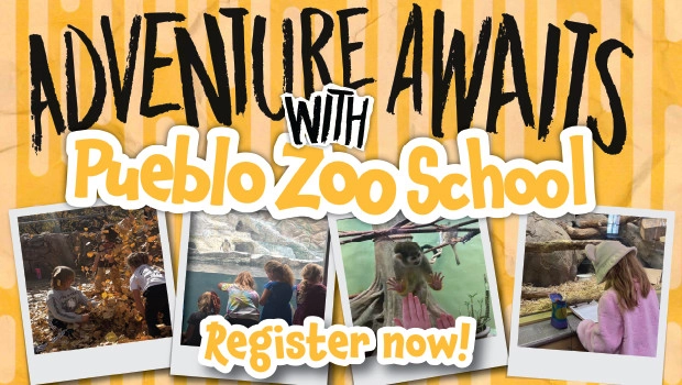 Pueblo Zoo