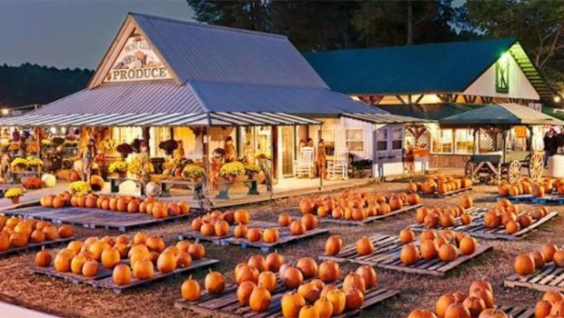 Hunt Club Farm