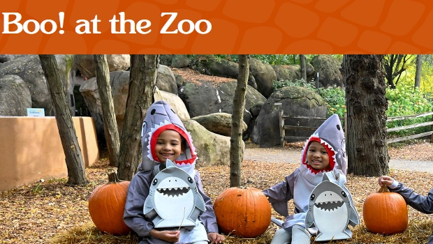 Brookfield Zoo