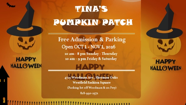 Tina's Pumpkin Patch Halloween Guide