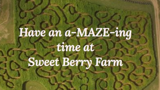 Sweet Berry Farm