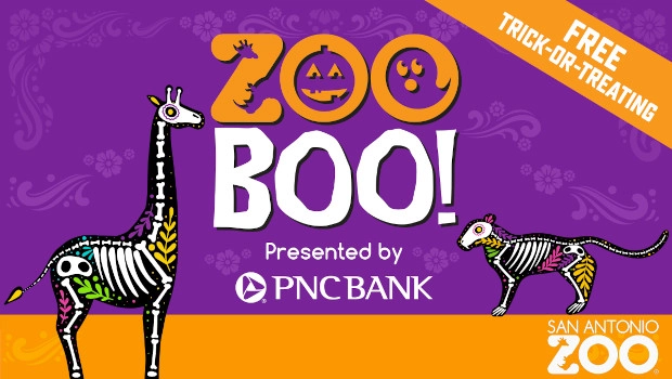San Antonio Zoo Fun Activities