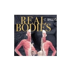REAL BODIES at Horseshoe Las Vegas