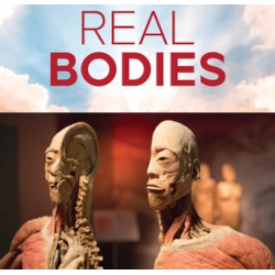 REAL BODIES at Horseshoe Las Vegas