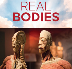 REAL BODIES at Horseshoe Las Vegas