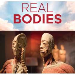 REAL BODIES at Horseshoe Las Vegas