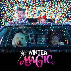 Winter Magic