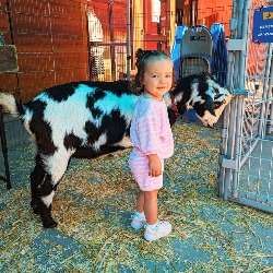 Hands On Children's Museum