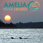 Amelia River Cruises & Charters
