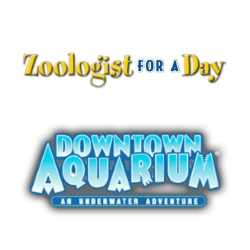 Downtown Aquarium
