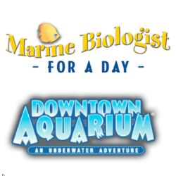 Downtown Aquarium