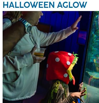 click for event details